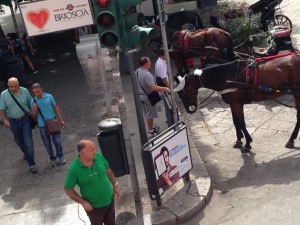 Check out the hat and bow on one of the horses who happily pulls his carriage with tourists. These horses are well cared for!