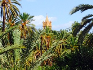 Palms and tower in Palermo. This one garden is supposedly the only park in the world where palms polinate each other — and it works.