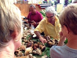 Claudio provides a little education on selecting mushrooms at the La Spezia Mercata