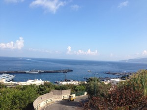 The harbor at Capri from the upper level platform of the funiculare that moves people from the harbor to the city