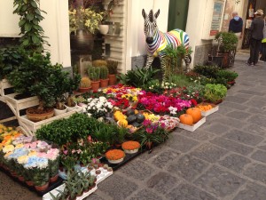 A really nice flower shop in Capri, complete with a zebra with multicolored stripes