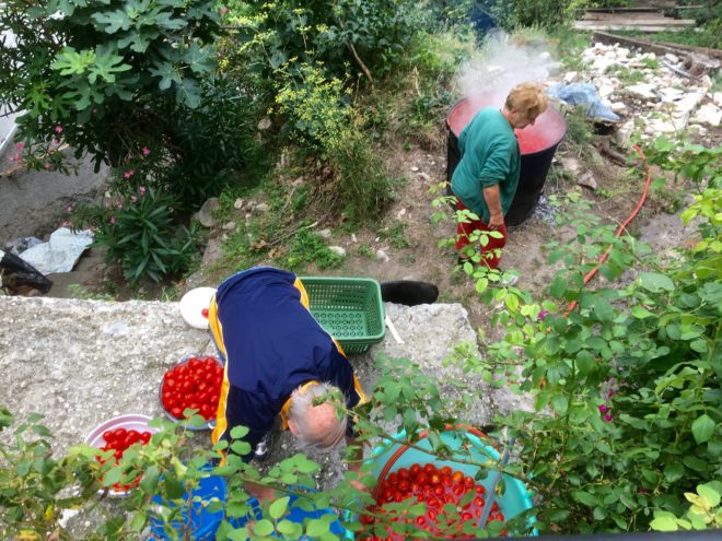 Lots of tomatoes, old-fashioned pot fired by wood and the water is boiling