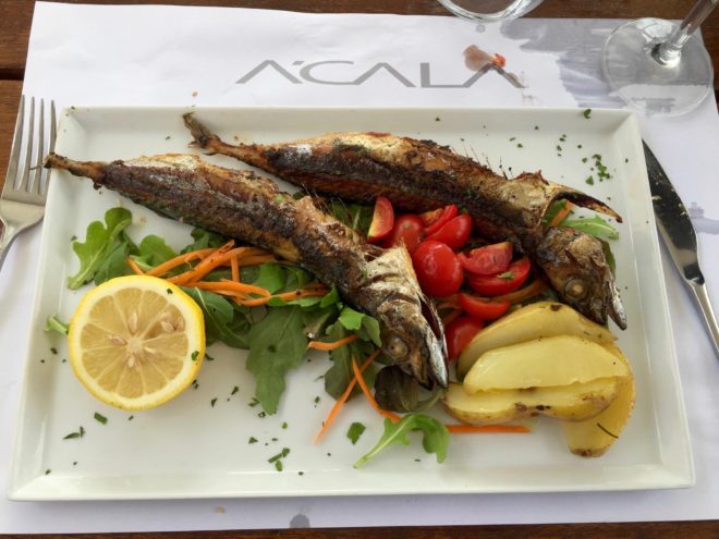 Jim's meal of grilled fish, this time grilled Sicilian sgombro, or mackerel