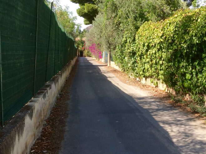 Road to the apartment - like those old roads you see in old movies filmed in the countryside.