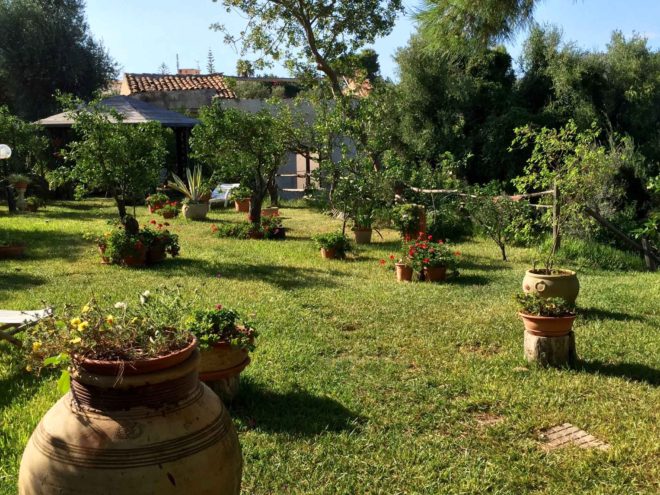 Part of the yard and garden that surrounds the buildings here.