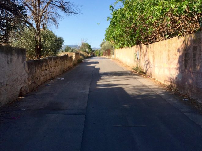 The other half of the road into our apartment compound. Pretty neat.