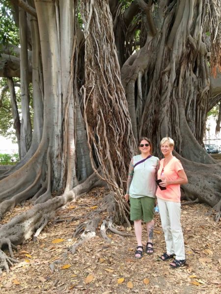 Michele and I in Garibaldi Park, standing in front of a Palermo Tree, or giant ficus.