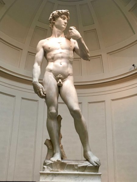 Michelangelo's David in the Tribune section of the museum. In the hallway to this rotund are several unfinished sculptures by Michelangelo. Heard it said many times - this is the best statue/sculpture in the world.