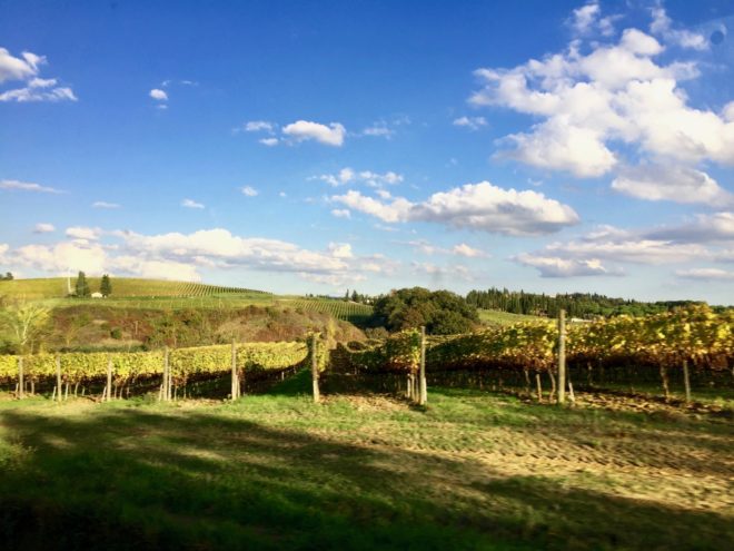 Getting closer! Grape vine leaves were beginning to turn with the cooler temps.