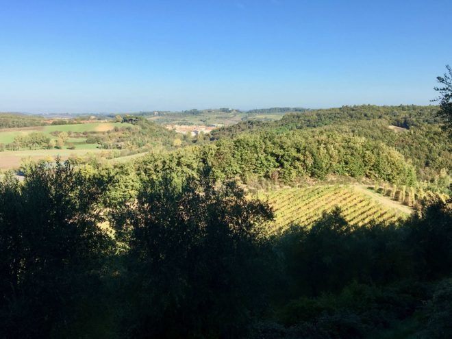 Tuscan fields from the South wall of Monteriggioni.