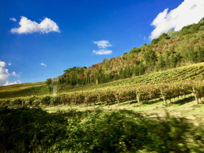 Vineyards and countryside between Monteriggioni and Siena