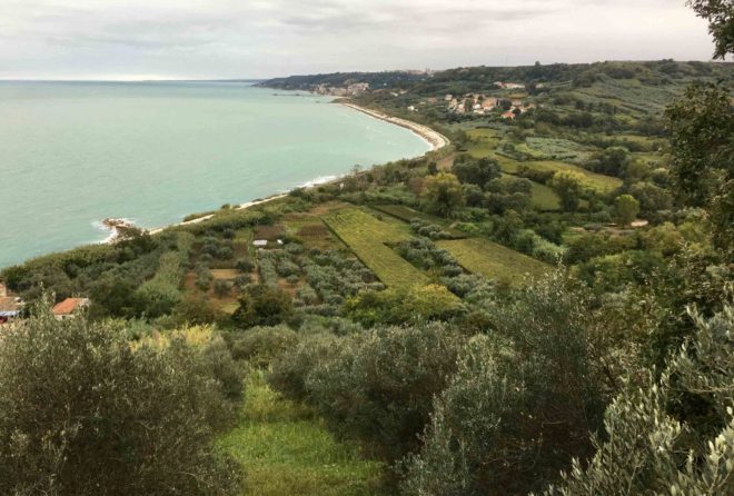 View of the coast and the Adriatic Sea from Antonino and Gabriella's house.