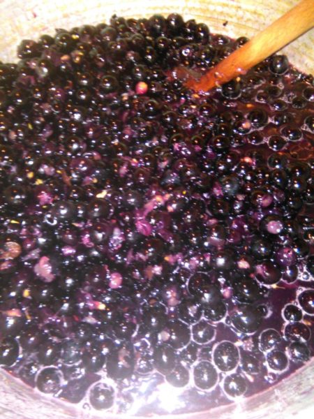 Montepulciano grapes in Gabriella's pot being converted into marmalata or a thick jelly - like jam or marmalade if you will. Bellissimo!